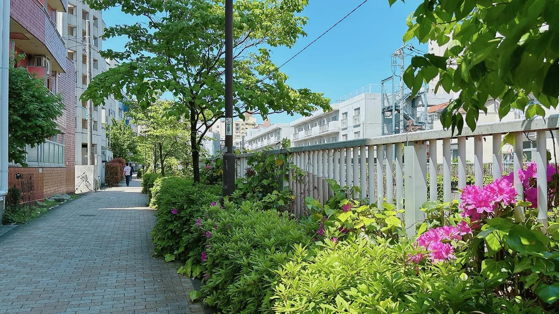 Shinjuku Business House 5Min Walk 新宿高田馬場駅歩行5分 Tokyo Apartment